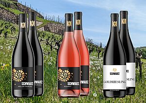 Frühlingserwachen Box - VDP Weingut Martin Schwarz