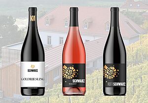 Weingut Martin Schwarz Probierpaket "Farbspiel"